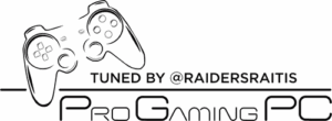 Raiders Raitis lv; Pro gaming logo
