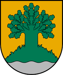 Valmieras novads ģērbonis logo